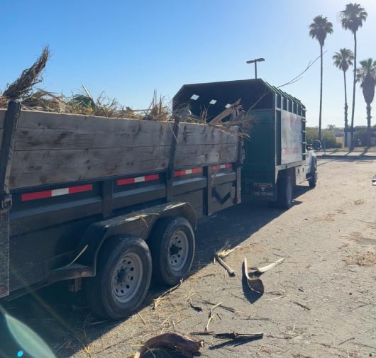 Tree Service - T.Q. Tree Management Inc