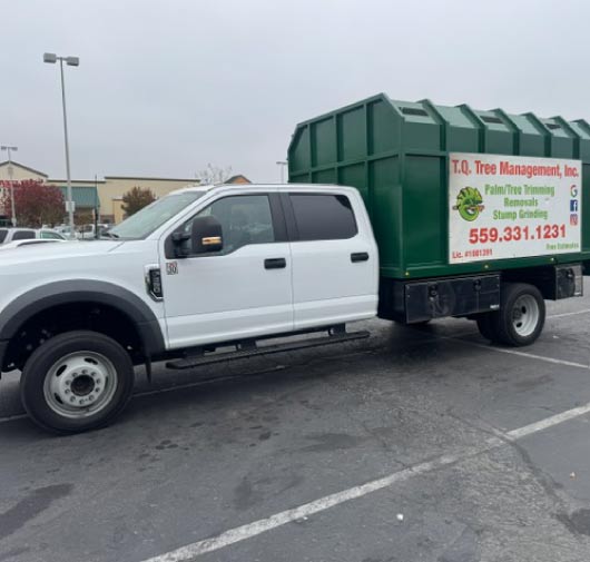 Tree Service - T.Q. Tree Management Inc